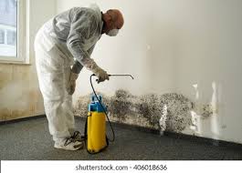 Best Biohazard Mold Removal  in Taylors, SC